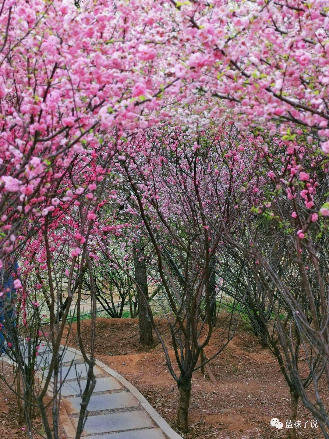 最近想得比较多胡思乱想,最近想事情想得多了