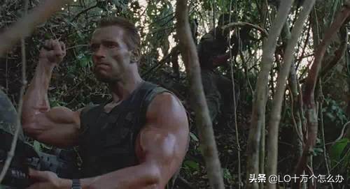 全球重口味电影观影指南之我来扒电影