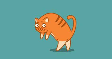 比天气预报更准的“老寒腿”，已经悄悄盯上了这5类年轻人...