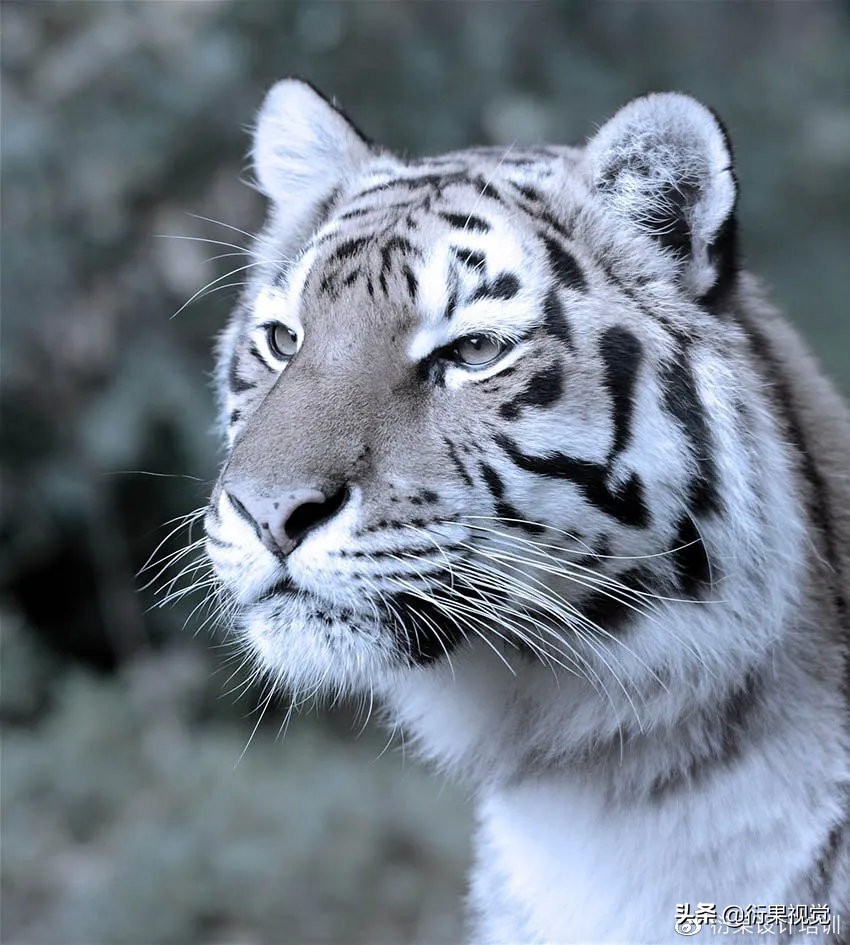 ps发光logo制作教程,ps软件教程制作发光特效