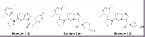 澶氬璺ㄥ浗鑽紒,璺ㄥ浗闆嗗洟鐮斿埗鐨勬姉鐧屾敞灏勫墏