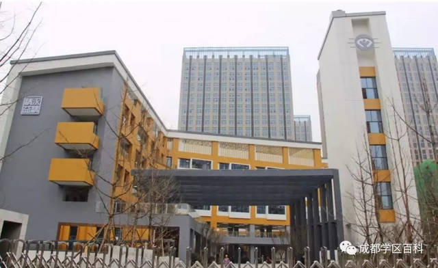 成都高新大源学校初中排名,高新区大源片区学校排名