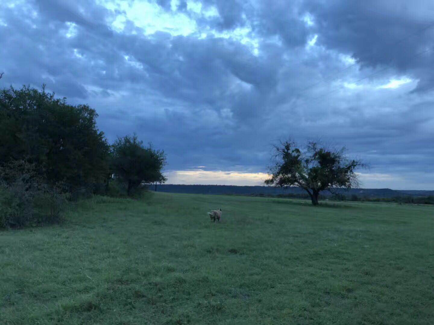 芝加哥大学有什么特色,芝加哥市著名大学