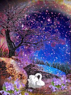 海边水中玫瑰花图片高清大图,最美山水花草倒影图片