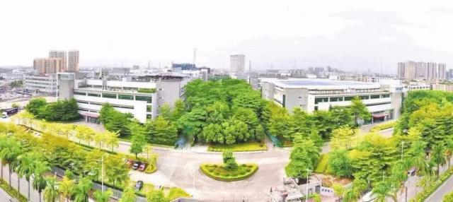 重磅!石碣镇入围2019年度全国百强镇,东莞还有这些镇上榜!