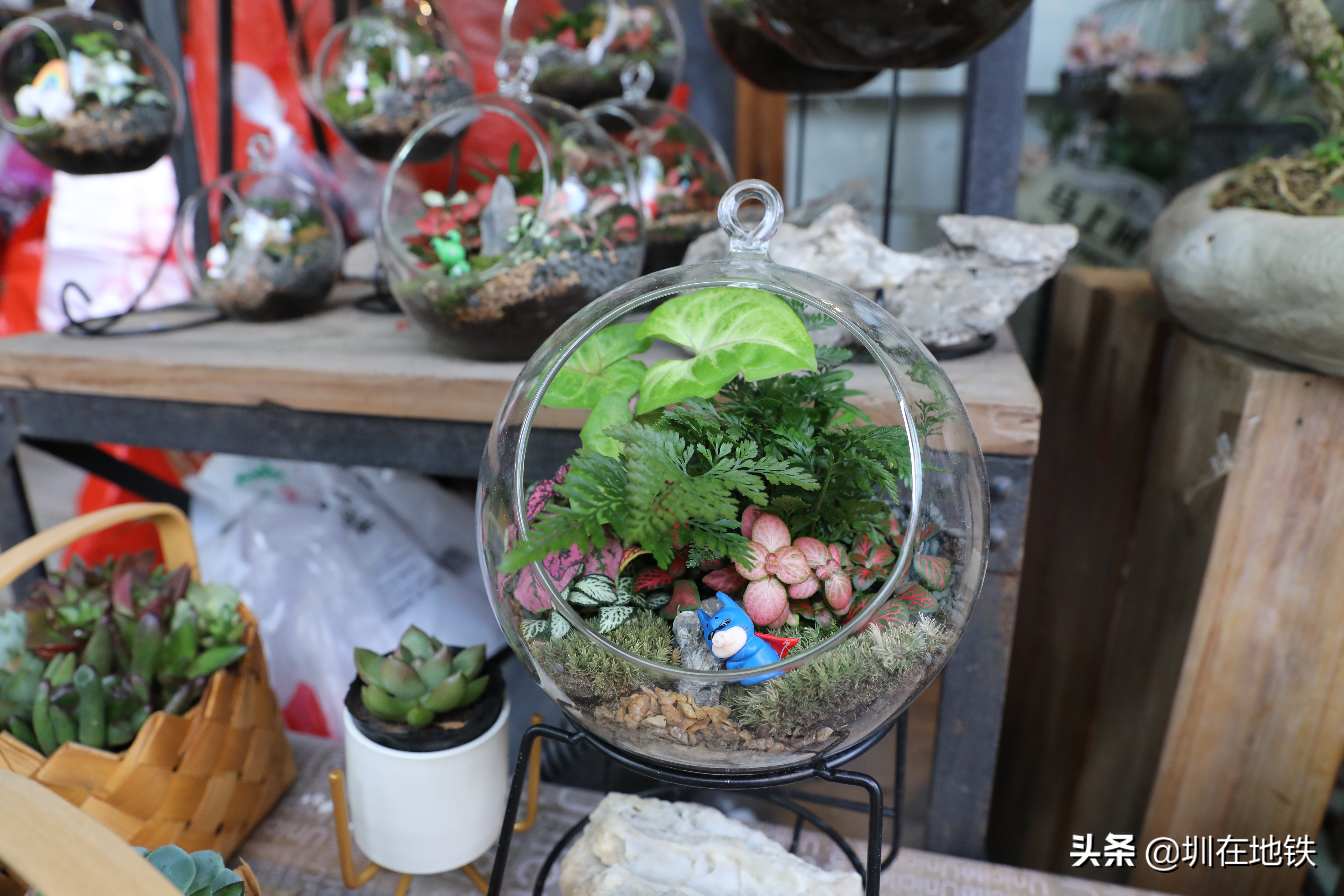 乘坐地铁到滘口花卉市场,从地铁到花卉市场