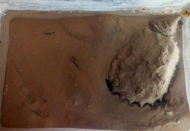 鱼池里的乌龟冬天怎么过冬,冬天乌龟如何过冬