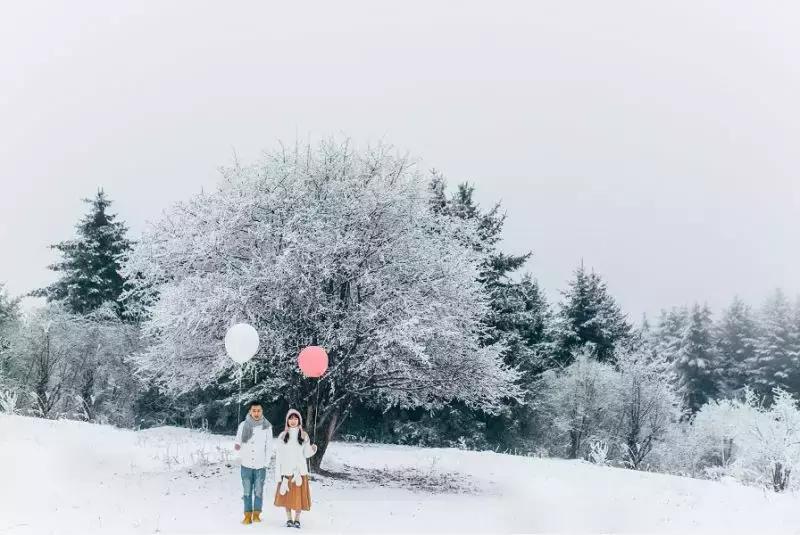 婚纱照像志玲姐姐,志玲婚纱照