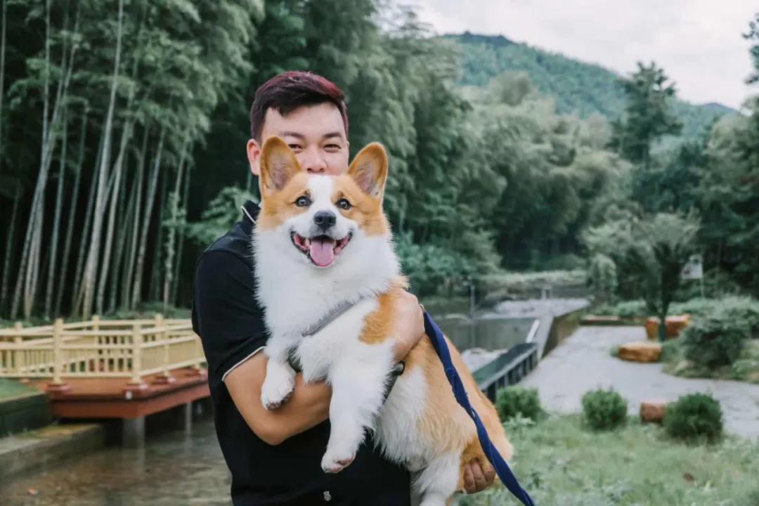 带着十一只狗狗去旅行,带着四只狗狗去旅行