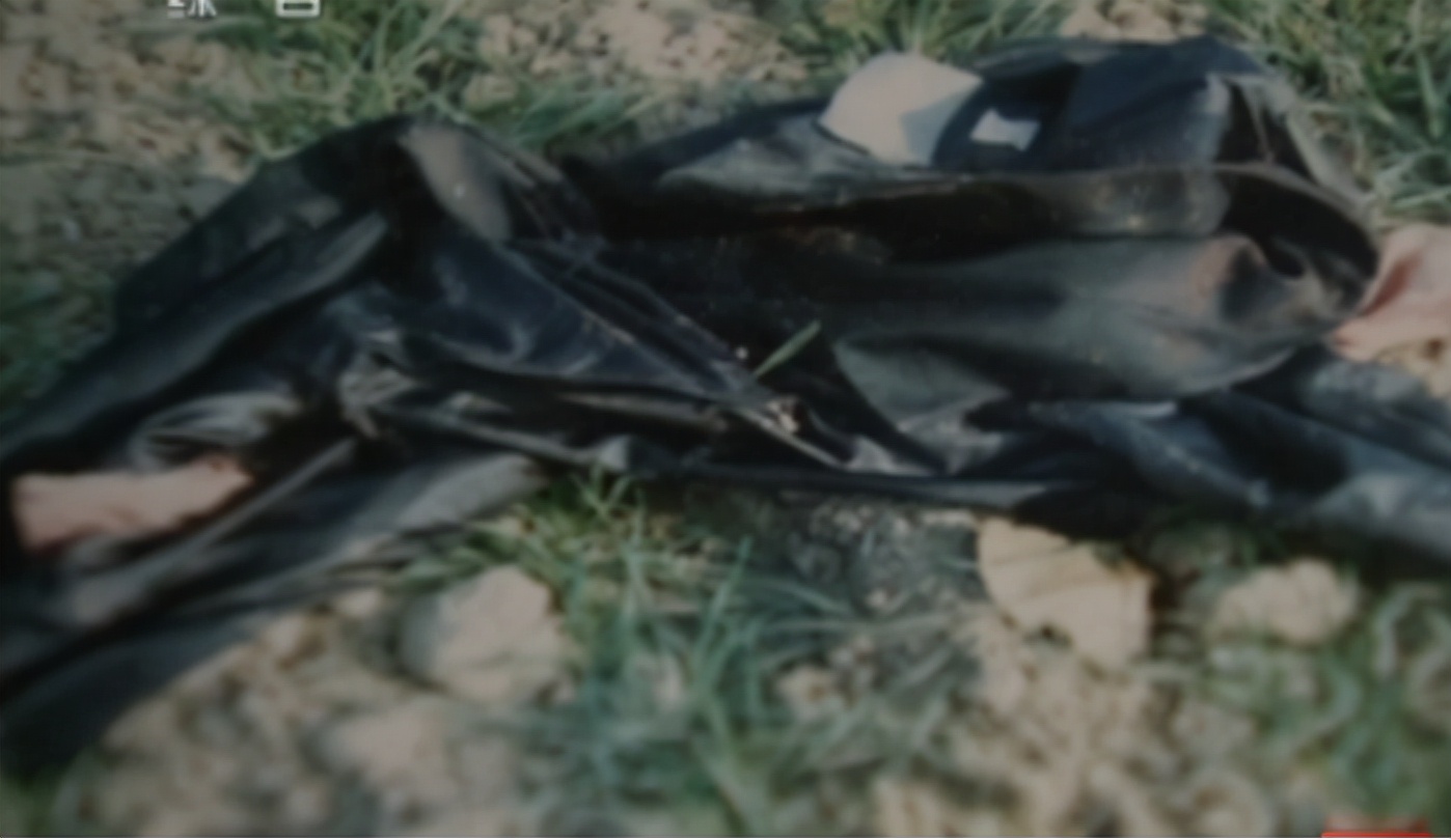 出租司机连环杀人案,90年代出租车司机杀人案