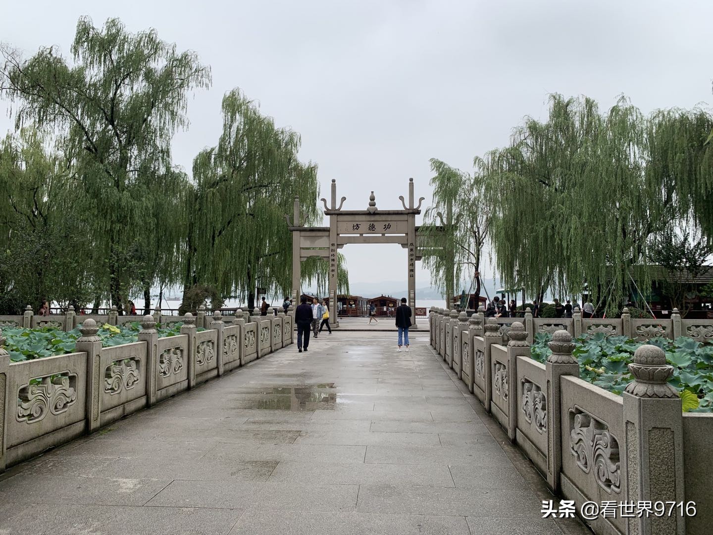 杭州西湖柳浪闻莺图片,杭州西湖风景名胜区柳浪闻莺