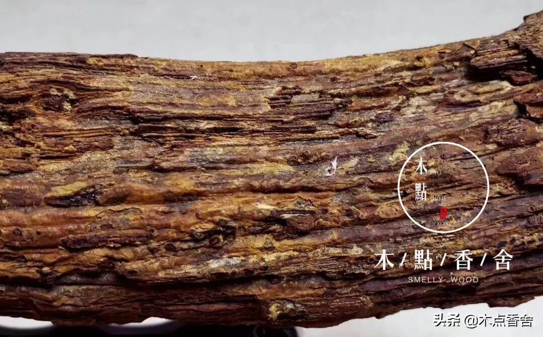 《香乘》中的“金沙降”是降真香吗?