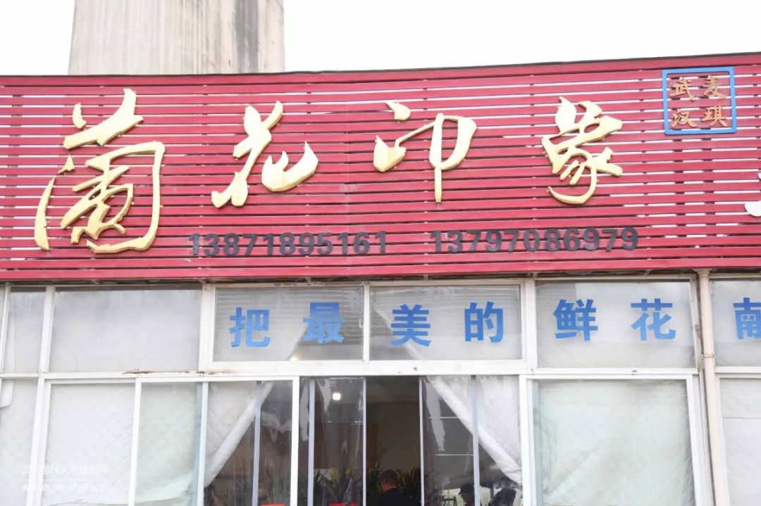 园艺沙龙|前方高能！一大波人相约逛花市，究竟淘了些啥？