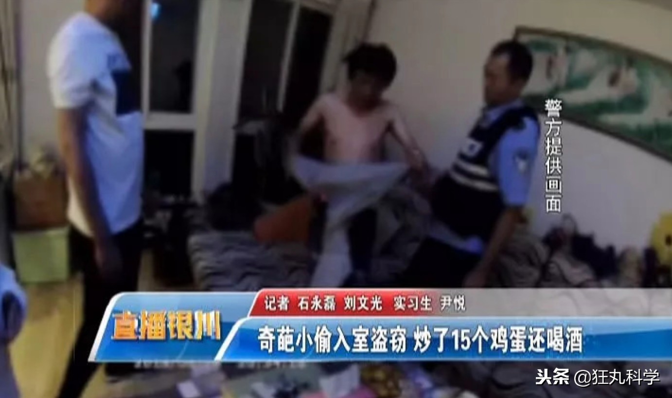 年度沙雕新闻合集,沙雕新闻播报合集