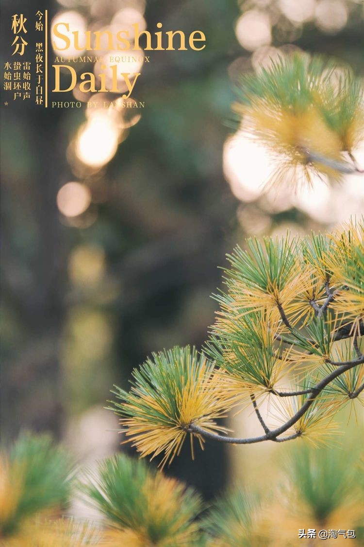 秋分愿生活恰如其分,人生恰如秋分生活恰如其分