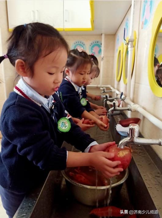 幼儿园红薯生成课活动方案,幼儿园科学教案红薯的成长过程