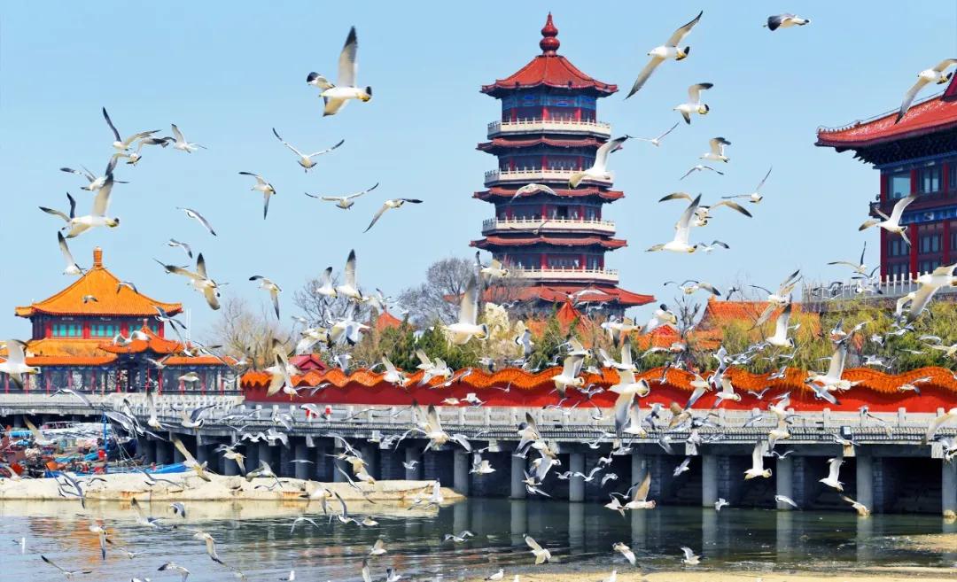 悦读者合集,悦读者交友