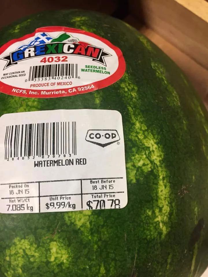 猎杀海豹，吃肉不吃素？！原住民们怒怼动保组织：站着说话不腰疼