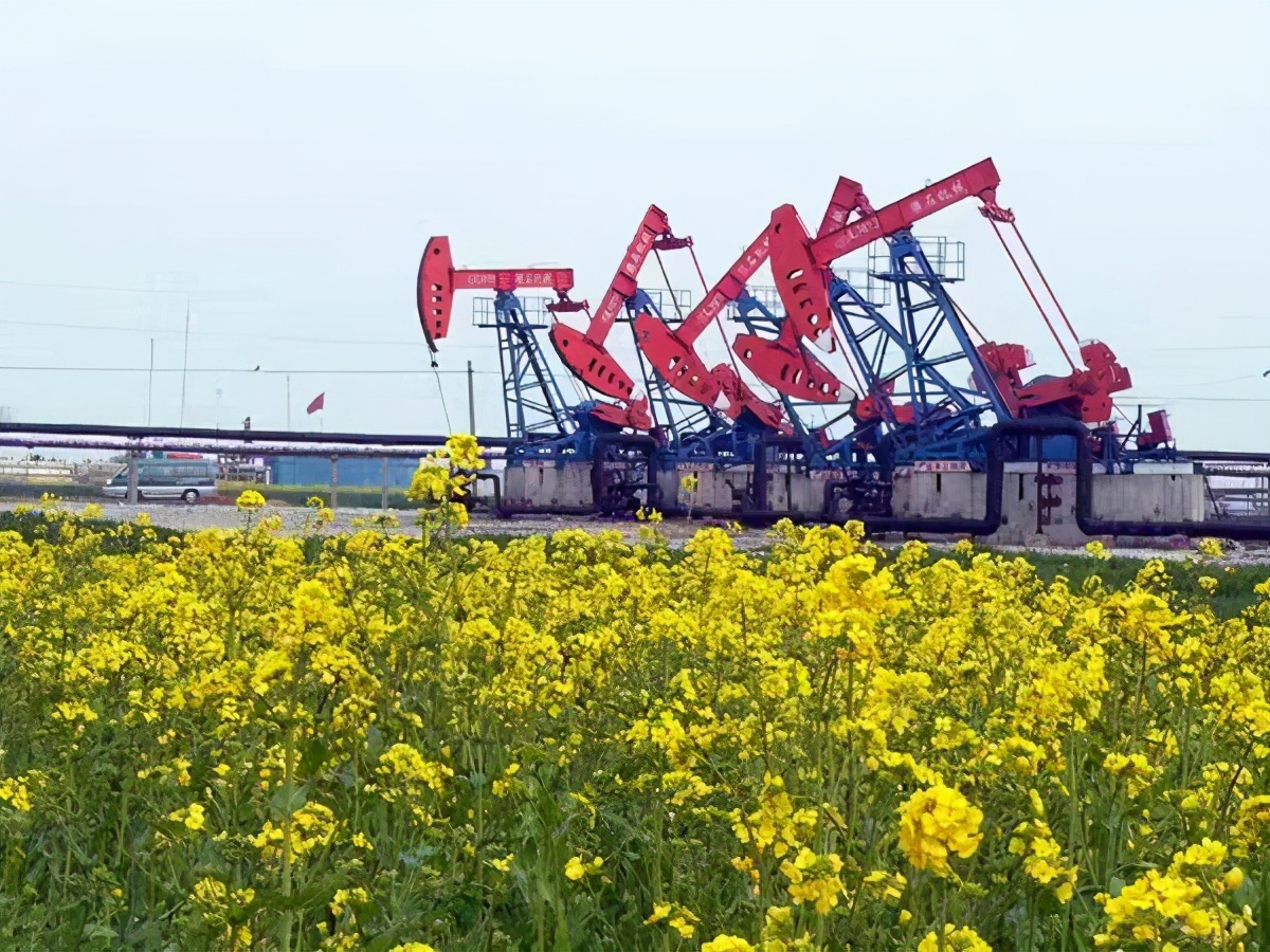 南阳的家乡有什么特点,河南南阳人在全国的印象