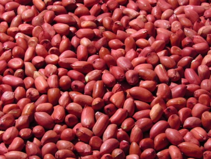 辽宁葫芦岛特产有哪些,辽宁特产有哪些值得带去的