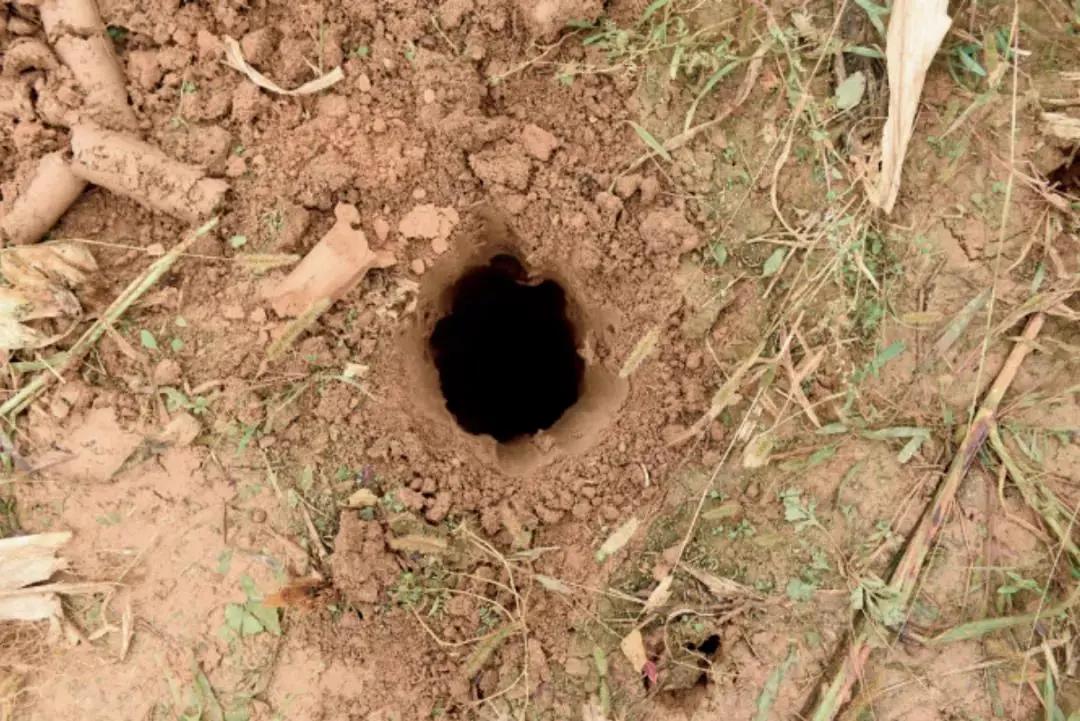 古老烧木炭窑的结构,古代木炭窑