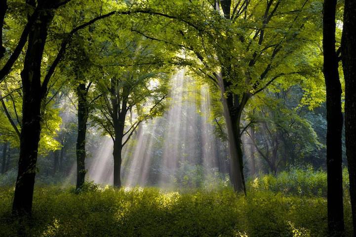 江西省南昌市首批22所足球特色示范幼儿园名单，足球从娃娃抓起