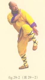 少林护心意门拳全套演示,少林拳长护心意门拳介绍