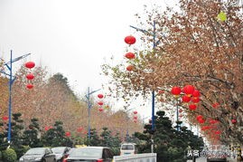 2019开篇|继续走着,笑着歌笑点