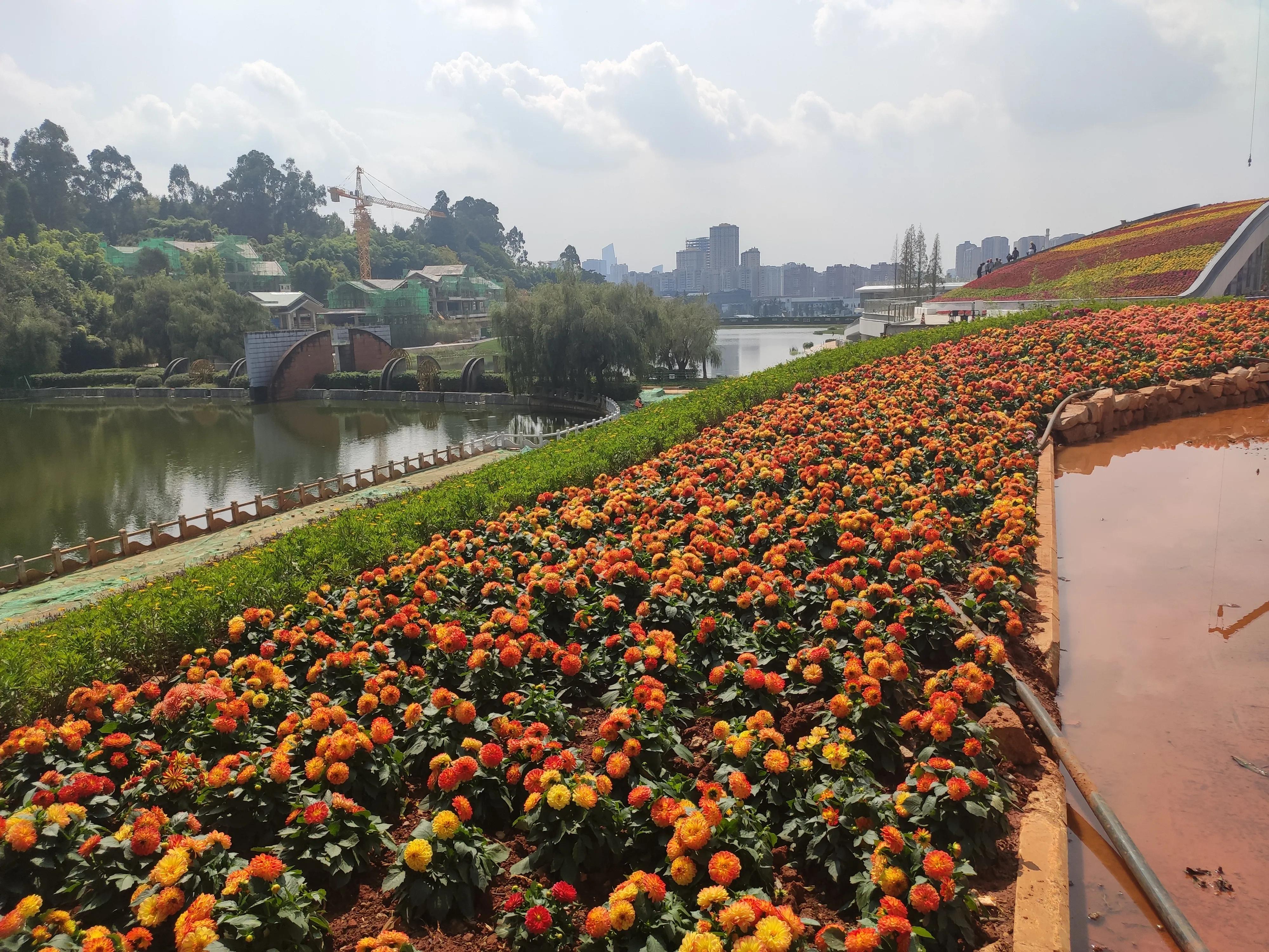 昆明世博园是免费参观的吗,第一次来昆明的感受