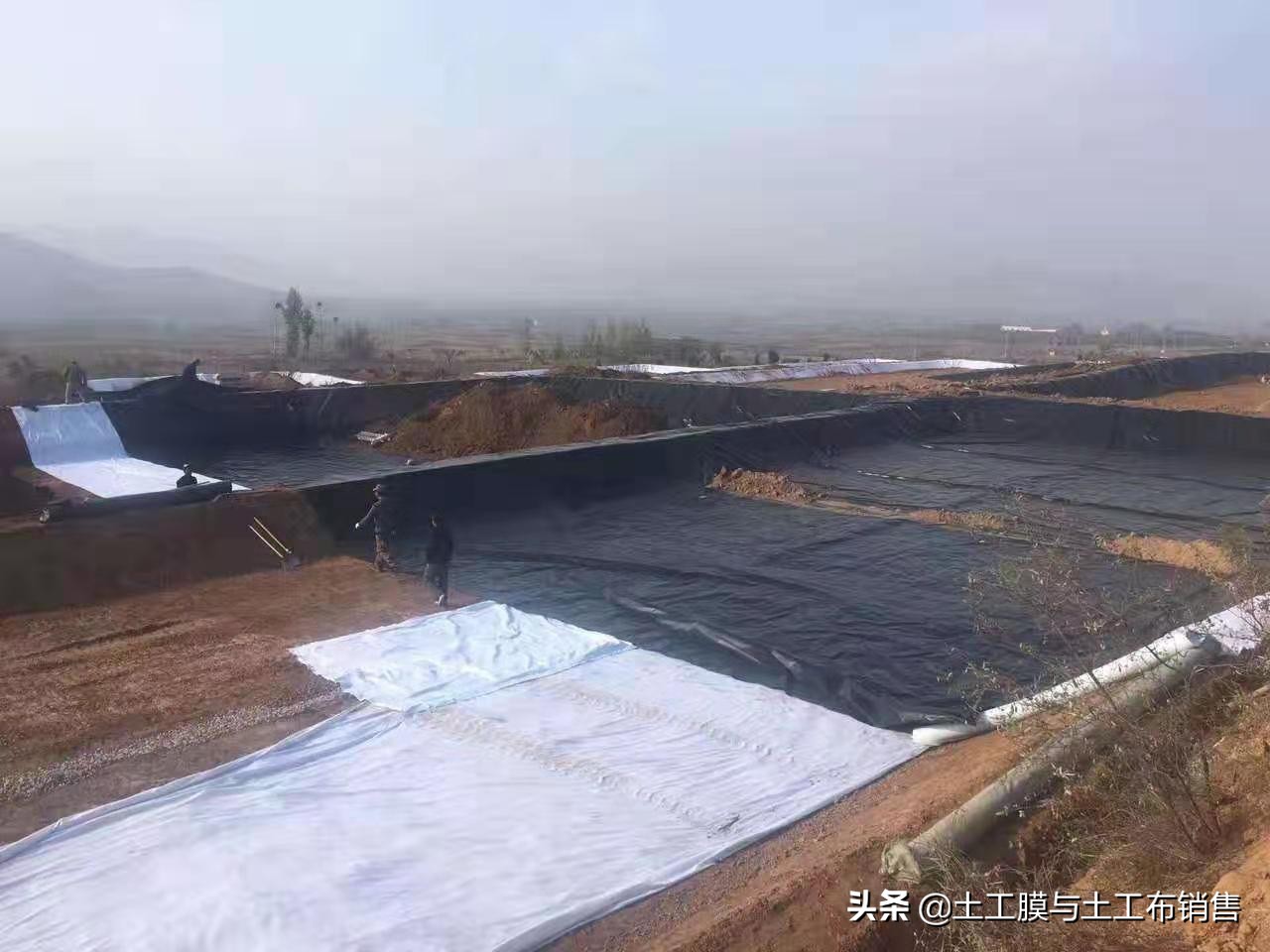 莲藕产业经济效益高的栽培模式-莲藕专用膜的投入与使用