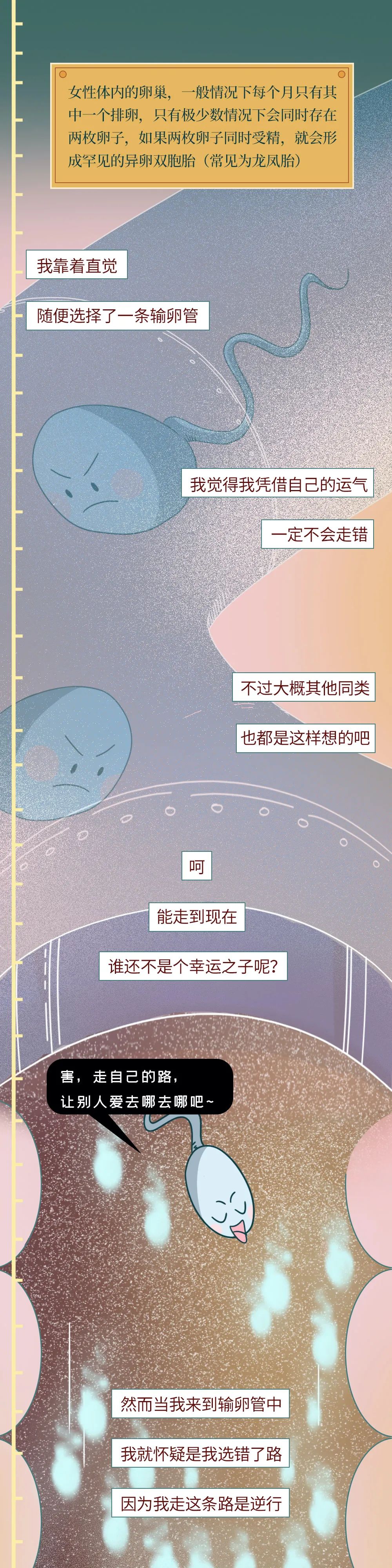 精子进入人体24小时变化,男性精子在体内存活时间