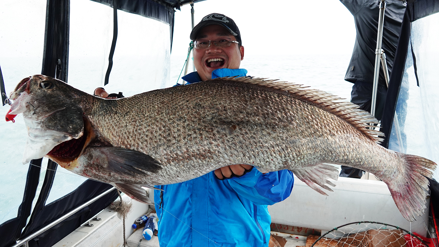 蓝旗鱼怪物路亚,实战派蓝旗鱼路亚