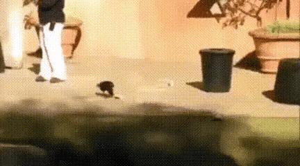 “如果这群女混混*攻围**我,我会舌战群儒!”你会怎样脱困?