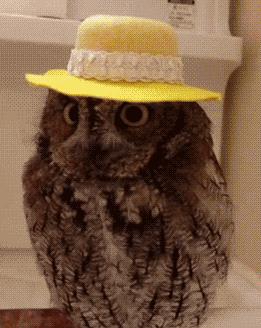 又平价又好用的防晒推荐,夏季平价防晒推荐