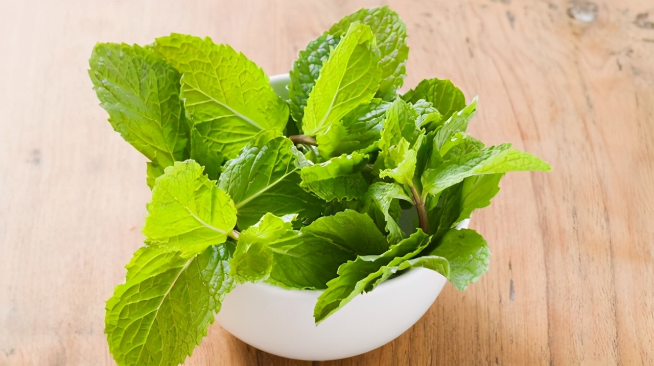 沙子可以代替火山岩养花,君子兰用火山岩好还是粗河沙好