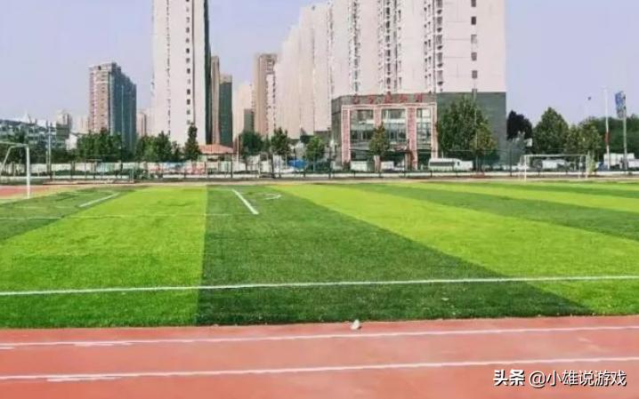 天津武清区最好的中学排名,天津市武清区大王古庄镇重点中学