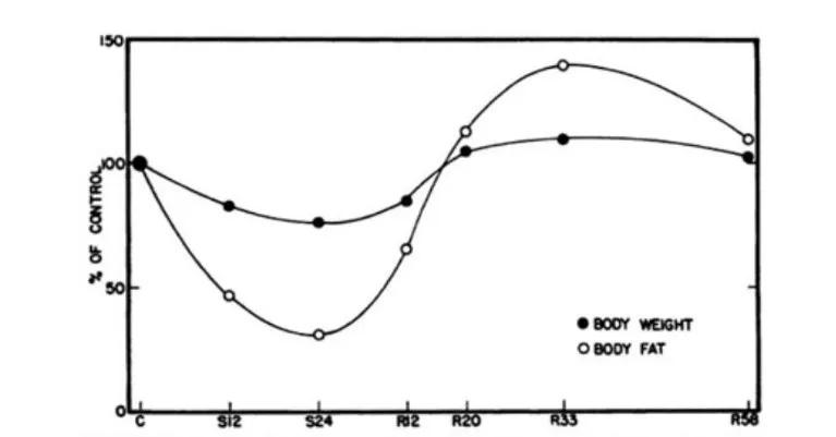 看完史上唯一的饥荒实验，才知道长期节食有多伤脑伤身