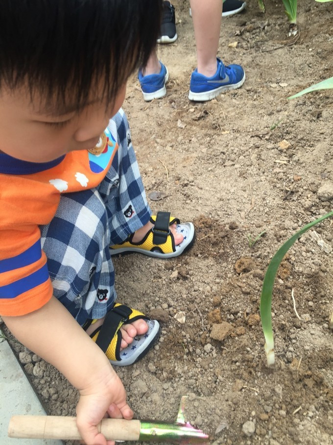 全家去三亚过年攻略,全家去三亚自驾过年攻略