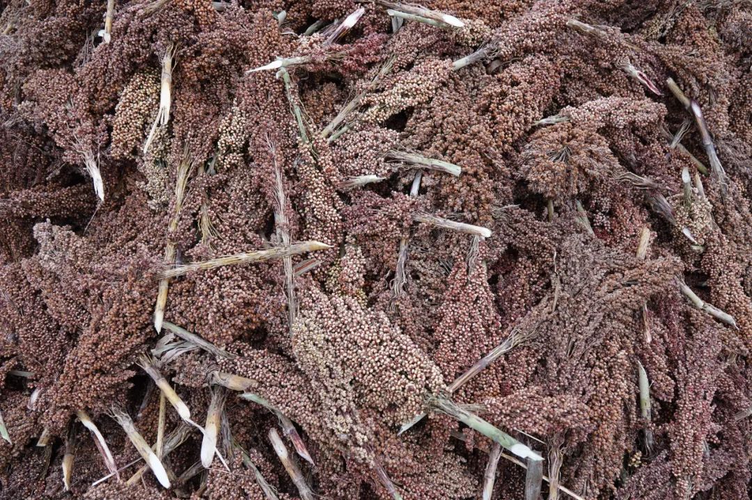 太行山千年古寺,长治太行山上古寺庙