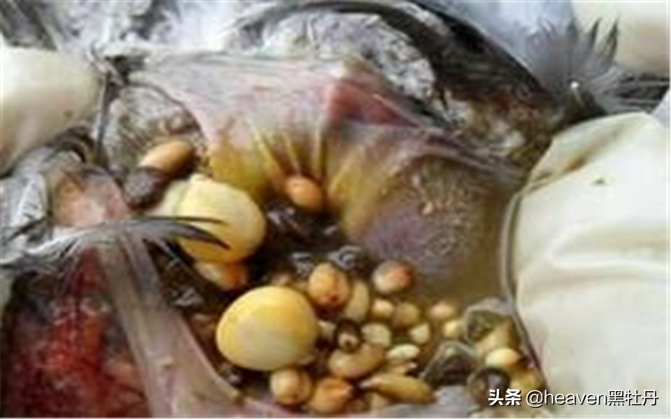 治疗赛鸽腺病毒的步骤，基本方式定时更新，原来是细节决定成败