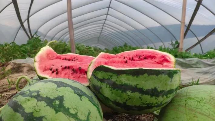 朱家尖国际沙雕艺术广场,沙雕朱家尖