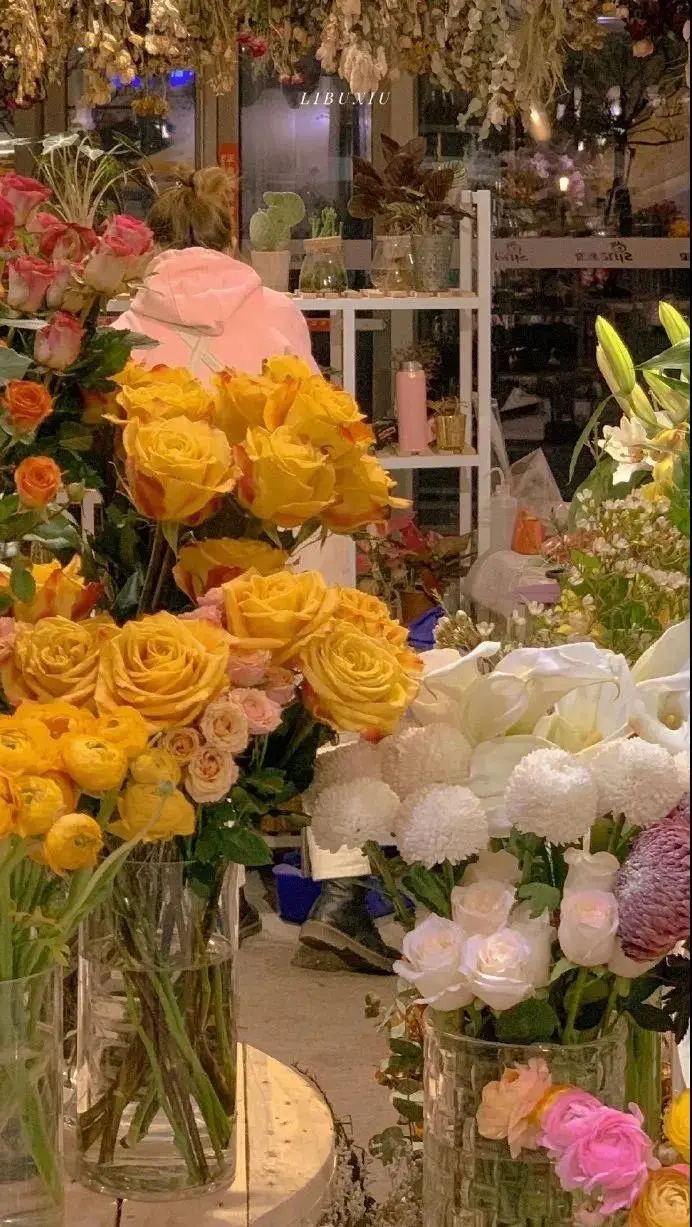 军人聊天背景图可爱女,聊天背景图可爱星黛露