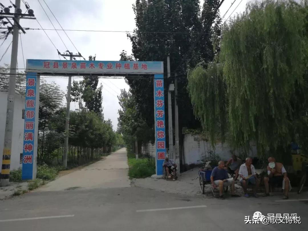 山东冠县精品苗木基地,冠县种植基地