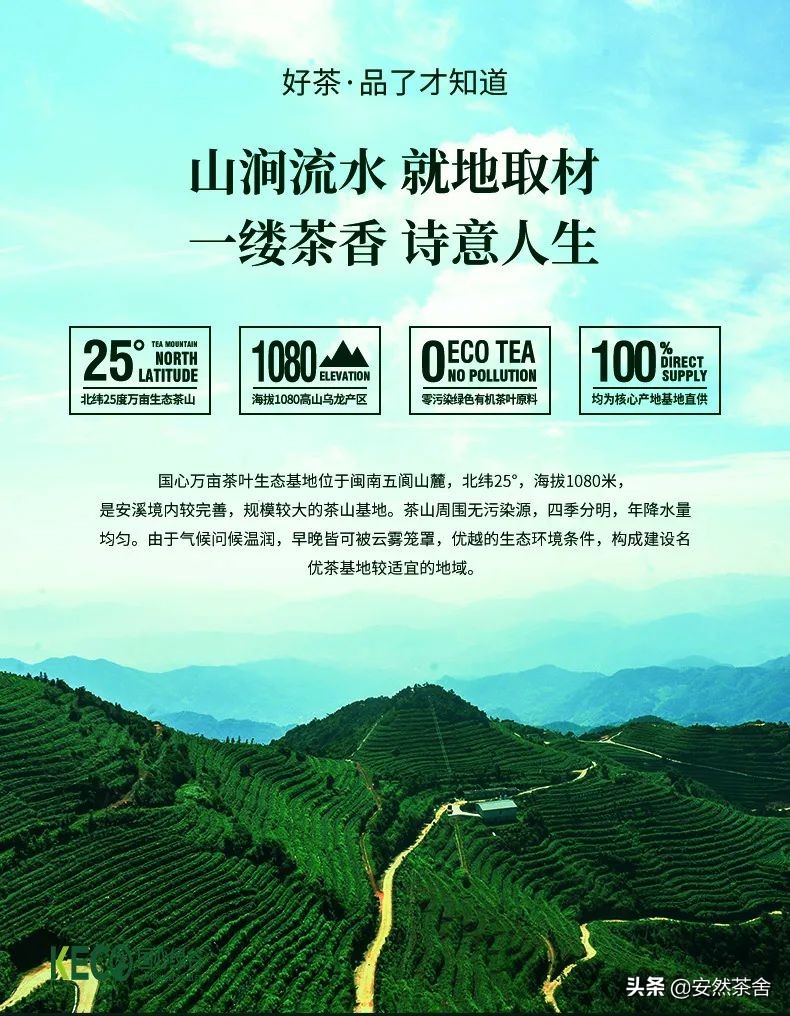 中国茶界香气高的茶,六大茶类各茶香气特点