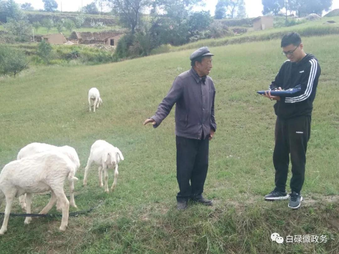 白碌乡：协同联动聚合力，居家养老做先行