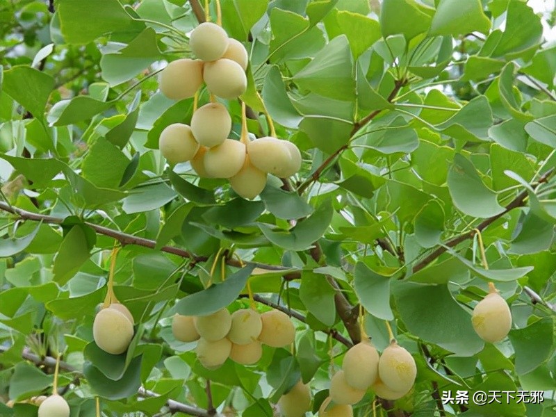 中国无神论史,中国无神论发展史