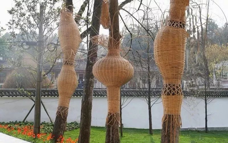 九莲小学办学特色,新津九莲小学