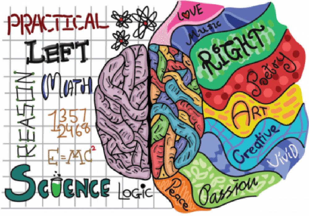 关于左撇子的12个有趣事实,左撇子为什么很多人觉得奇怪