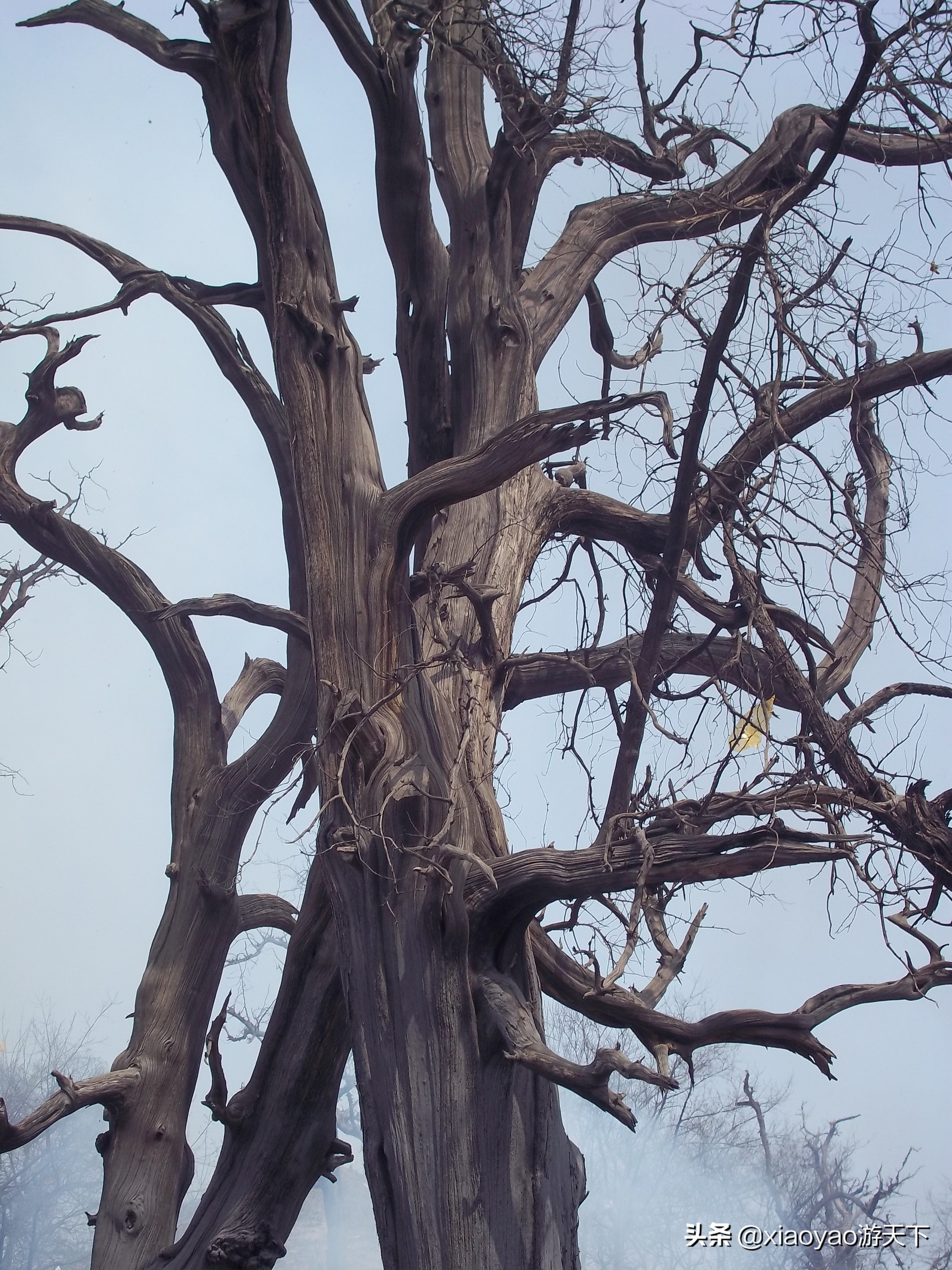 天下第一陵太昊伏羲陵,河南周口淮阳太昊伏羲陵