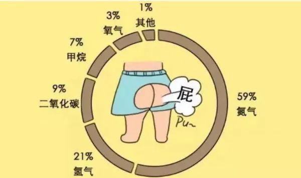 健身如何避免蛋白屁,健身蛋白屁怎么解决